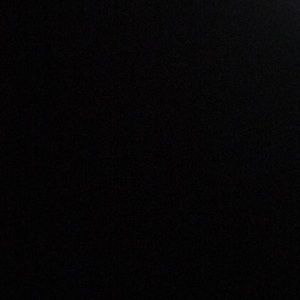 Meet your Posher, Rose